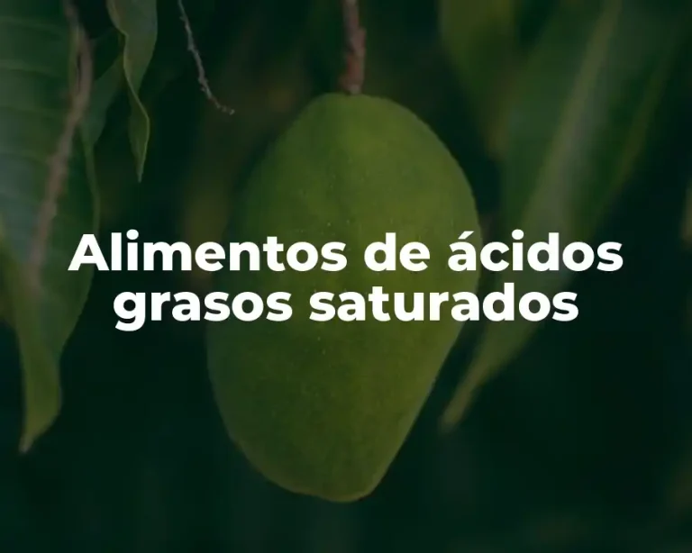Alimentos de ácidos grasos saturados
