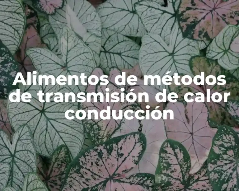 Alimentos de métodos de transmisión de calor conducción
