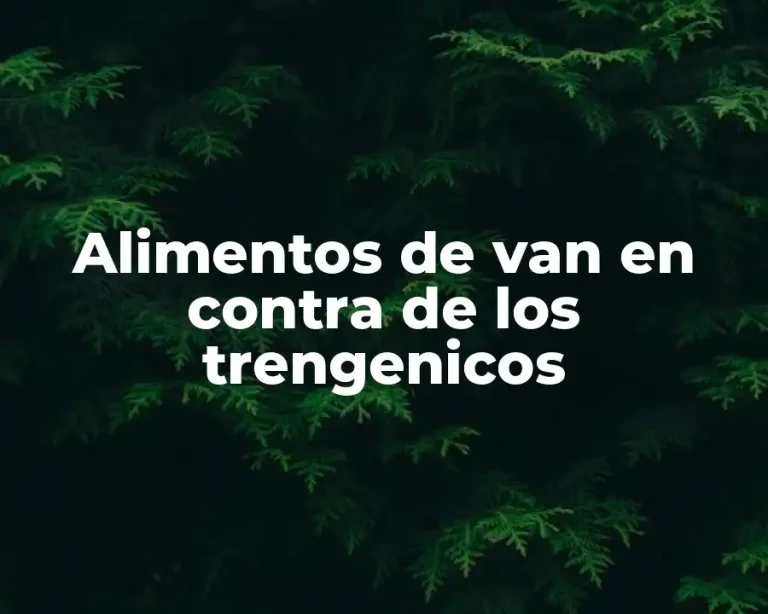 Alimentos de van en contra de los trengenicos
