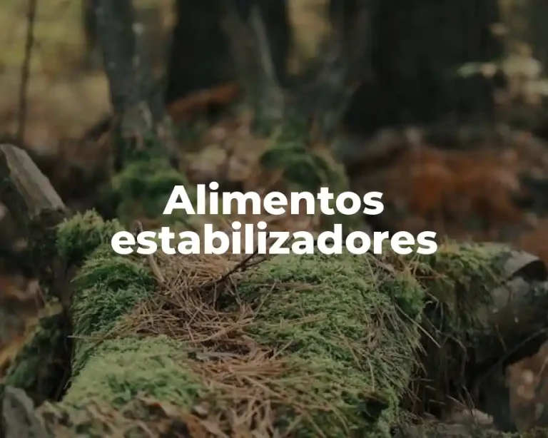 Alimentos estabilizadores