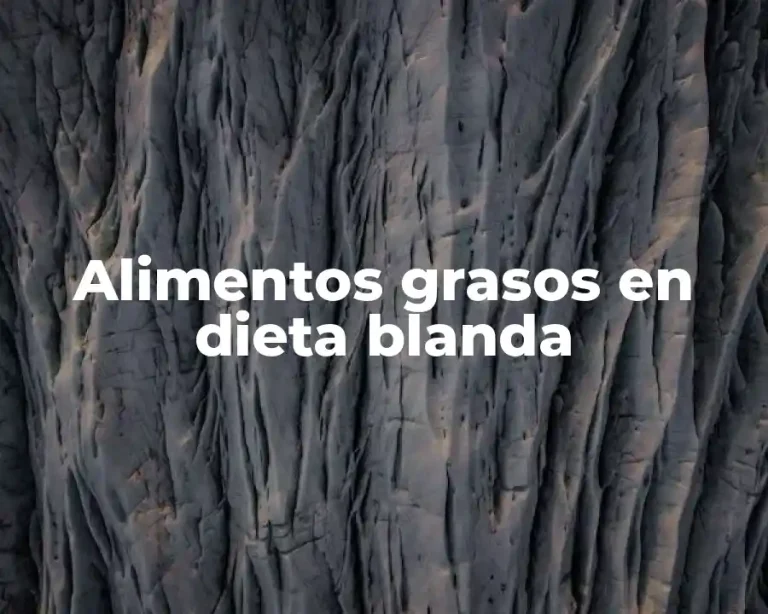 Alimentos grasos en dieta blanda