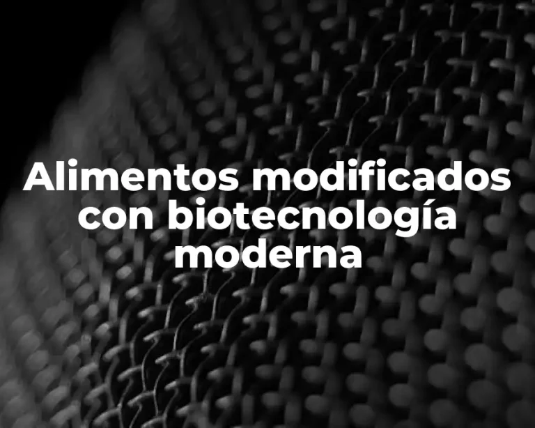 Alimentos modificados con biotecnología moderna