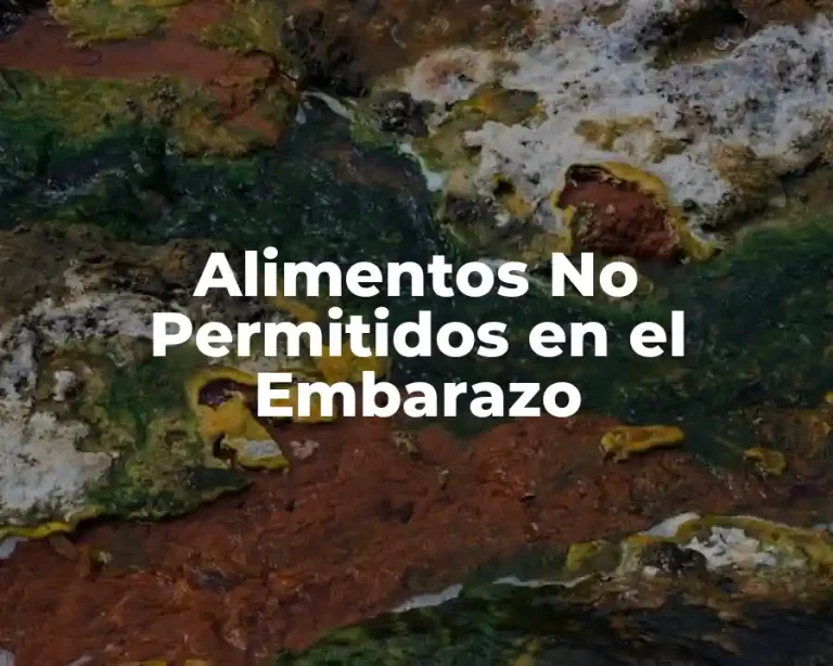 Alimentos No Permitidos en el Embarazo