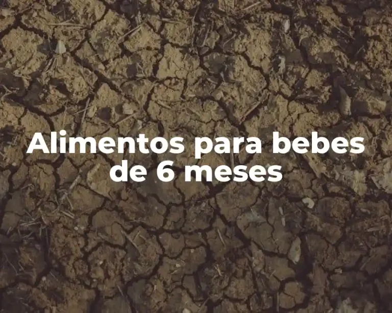Alimentos para bebes de 6 meses