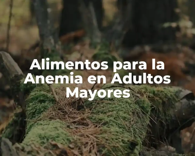 Alimentos para la Anemia en Adultos Mayores