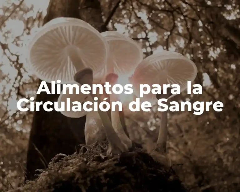 Alimentos para la Circulación de Sangre