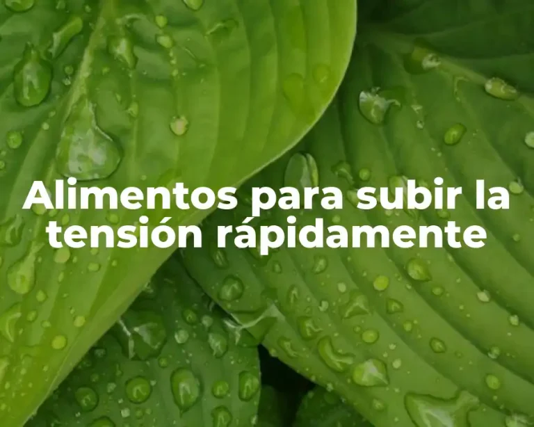 Alimentos para subir la tensión rápidamente