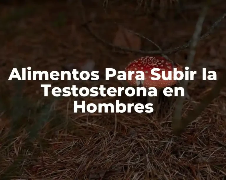 Alimentos Para Subir la Testosterona en Hombres