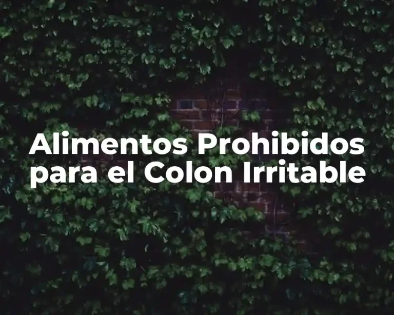 Alimentos Prohibidos para el Colon Irritable