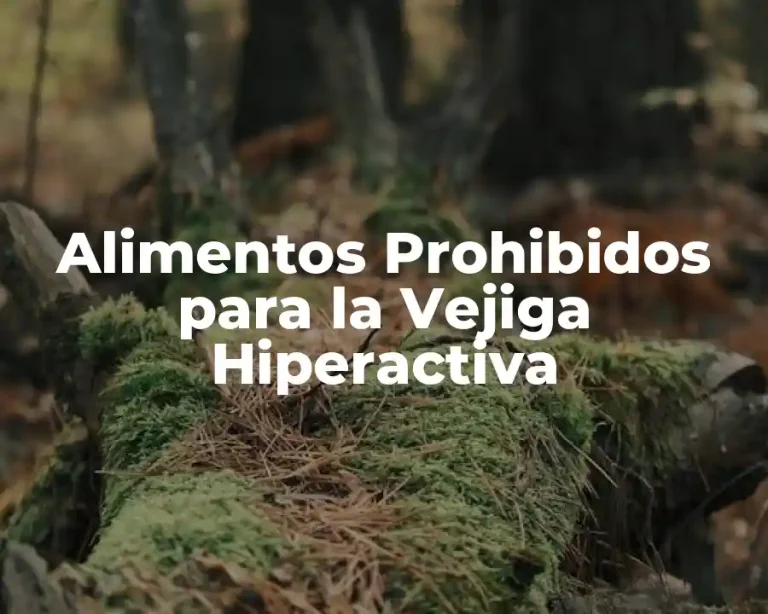 Alimentos Prohibidos para la Vejiga Hiperactiva