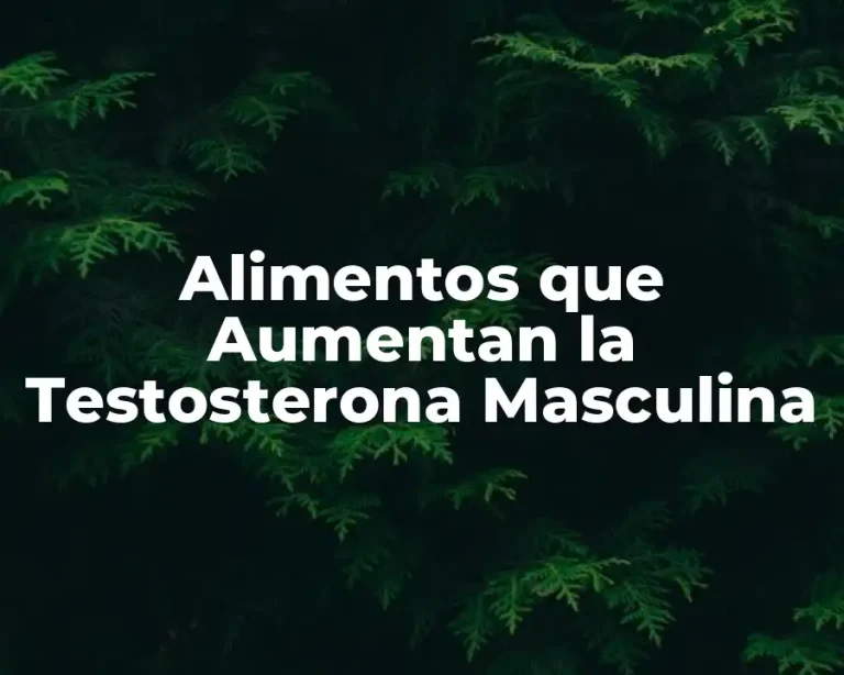 Alimentos que Aumentan la Testosterona Masculina