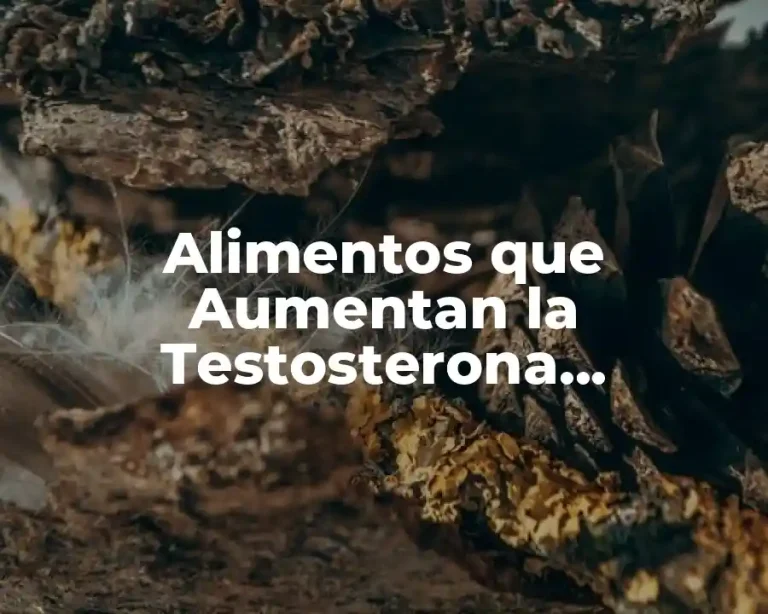 Alimentos que Aumentan la Testosterona Naturalmente