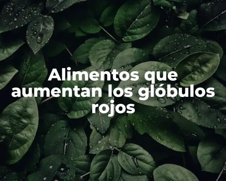 Alimentos que aumentan los glóbulos rojos