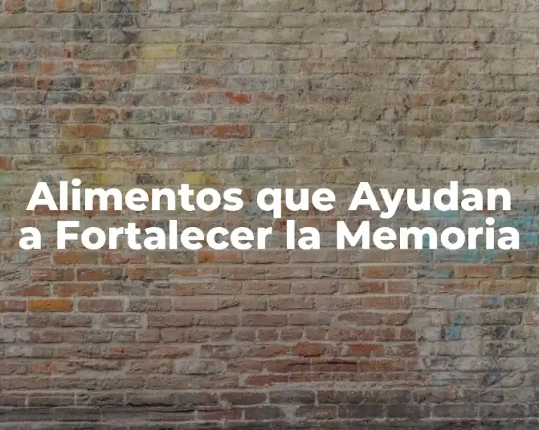 Alimentos que Ayudan a Fortalecer la Memoria
