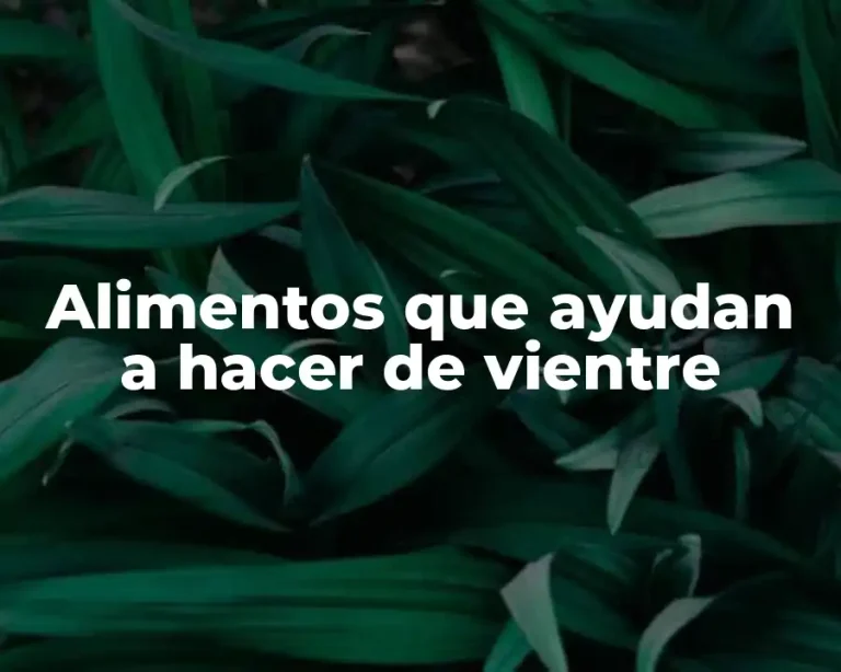 Alimentos que ayudan a hacer de vientre