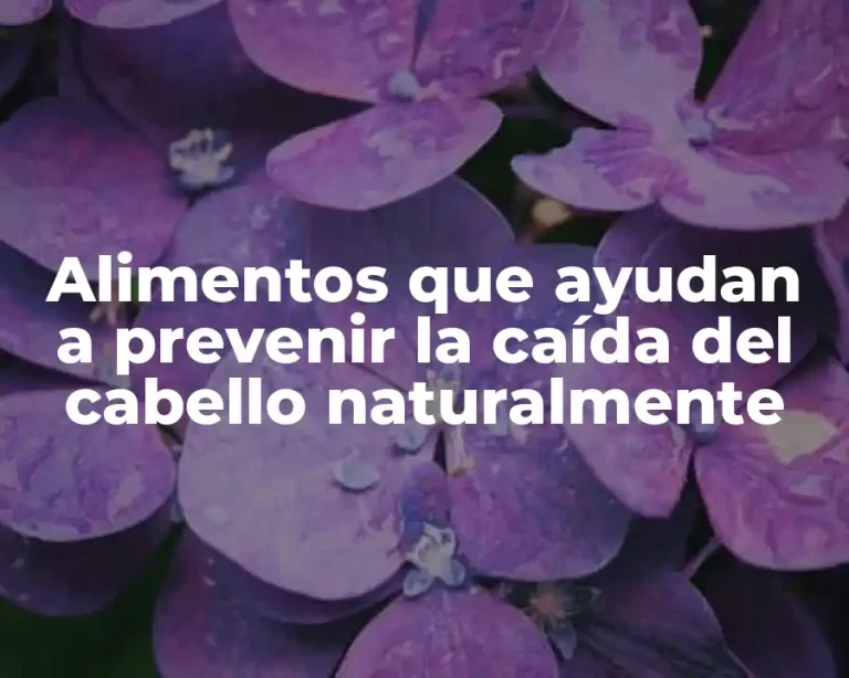 Alimentos que ayudan a prevenir la caída del cabello naturalmente