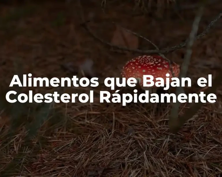 Alimentos que Bajan el Colesterol Rápidamente