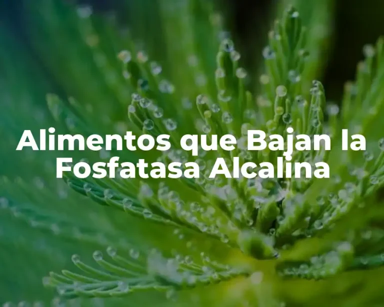 Alimentos que Bajan la Fosfatasa Alcalina