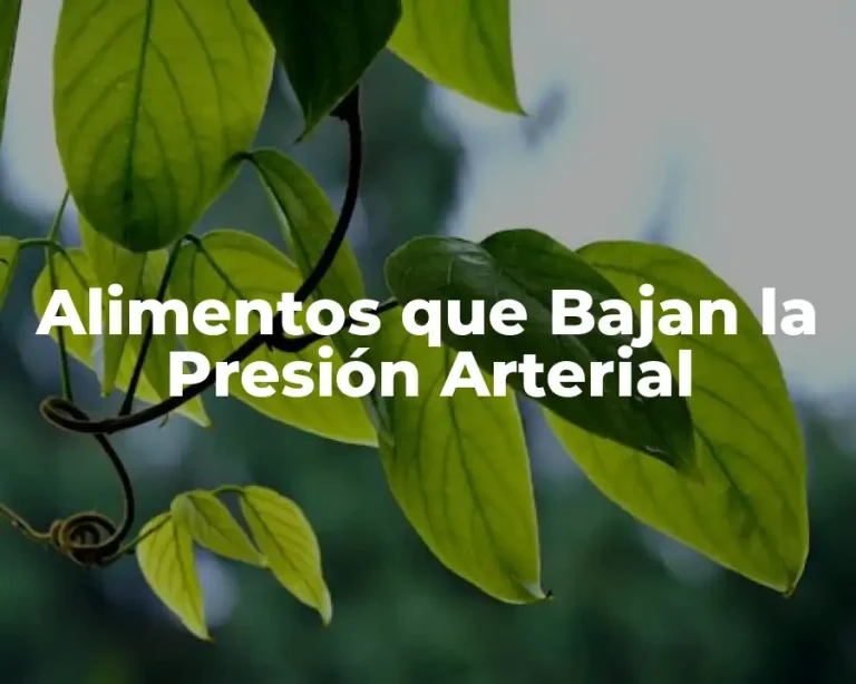 Alimentos que Bajan la Presión Arterial