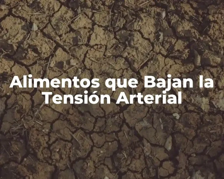 Alimentos que Bajan la Tensión Arterial