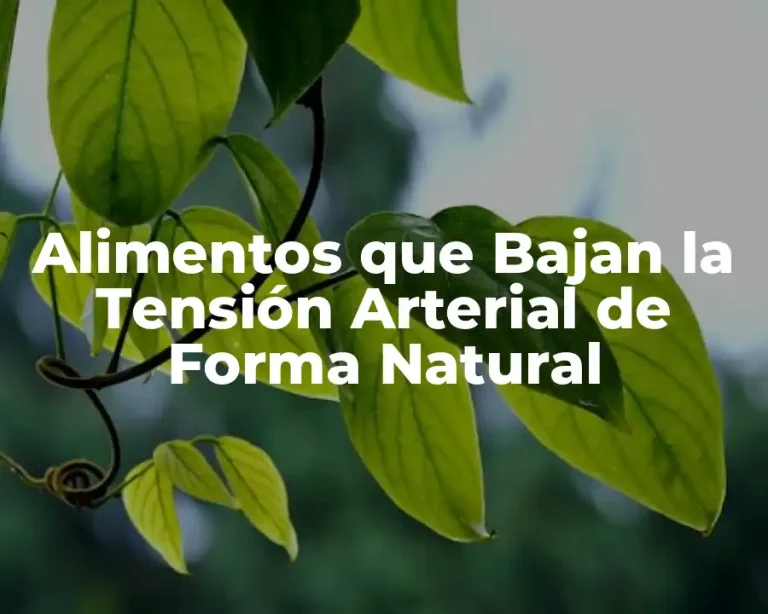 Alimentos que Bajan la Tensión Arterial de Forma Natural