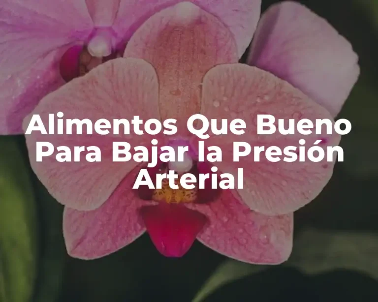 Alimentos Que Bueno Para Bajar la Presión Arterial