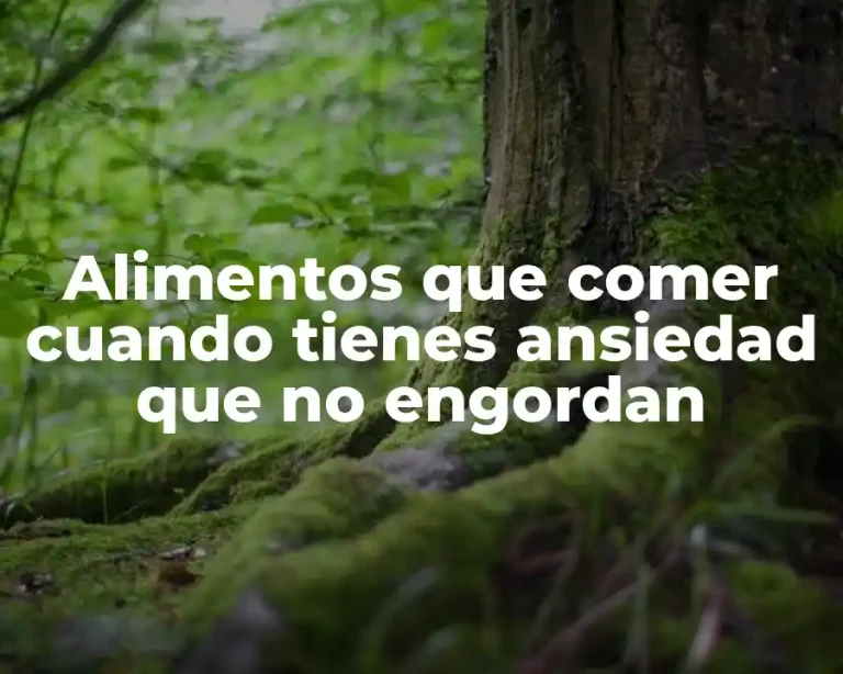 Alimentos que comer cuando tienes ansiedad que no engordan