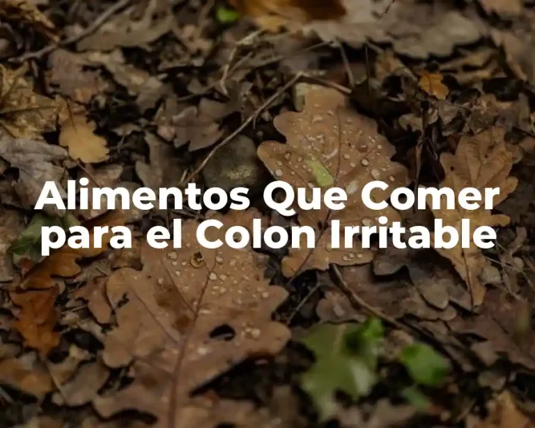 Alimentos Que Comer para el Colon Irritable