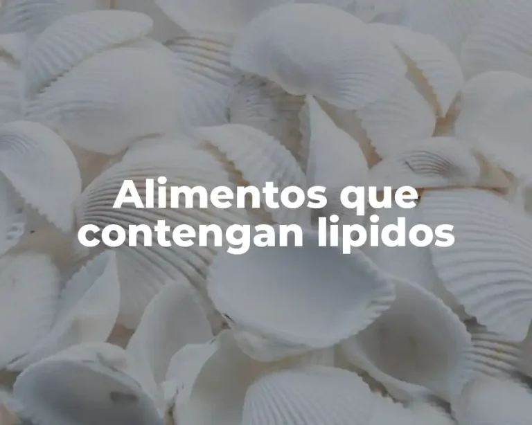 Alimentos que contengan lipidos