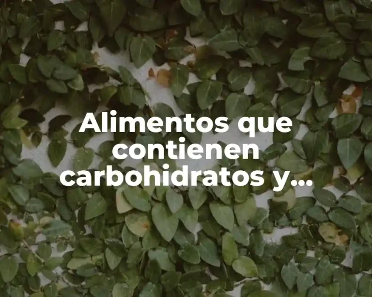 Alimentos que contienen carbohidratos y vitaminas