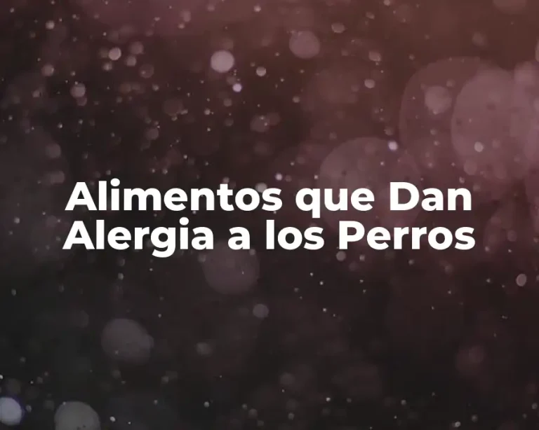 Alimentos que Dan Alergia a los Perros