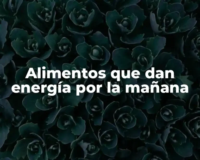 Alimentos que dan energía por la mañana