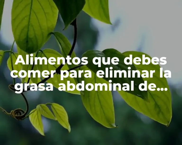 Alimentos que debes comer para eliminar la grasa abdominal de manera efectiva