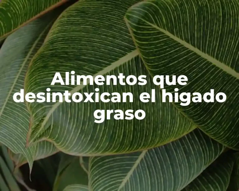 Alimentos que desintoxican el higado graso