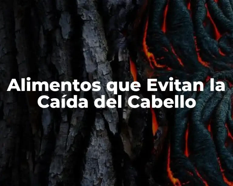 Alimentos que Evitan la Caída del Cabello