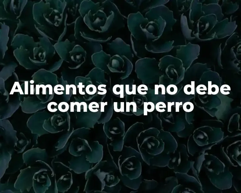 Alimentos que no debe comer un perro
