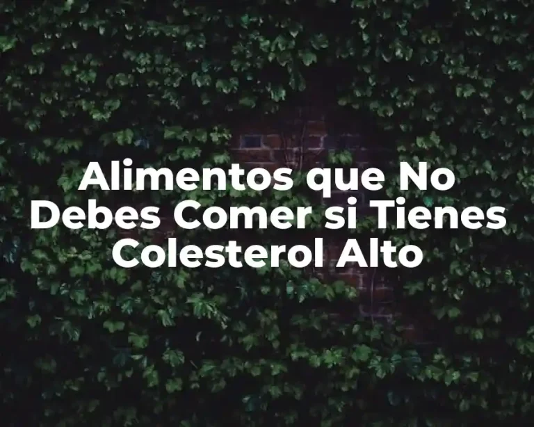 Alimentos que No Debes Comer si Tienes Colesterol Alto