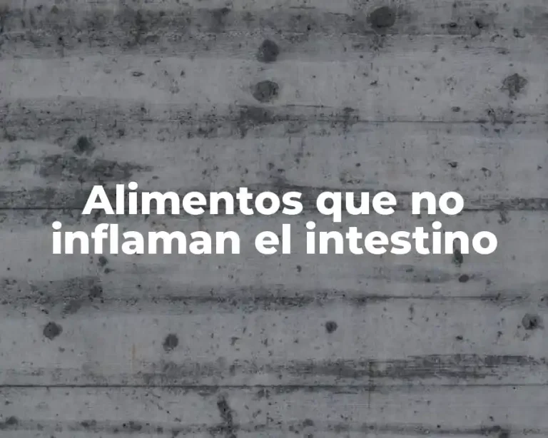 Alimentos que no inflaman el intestino