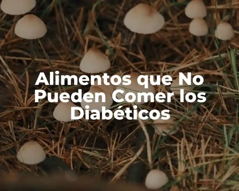 Alimentos que No Pueden Comer los Diabéticos