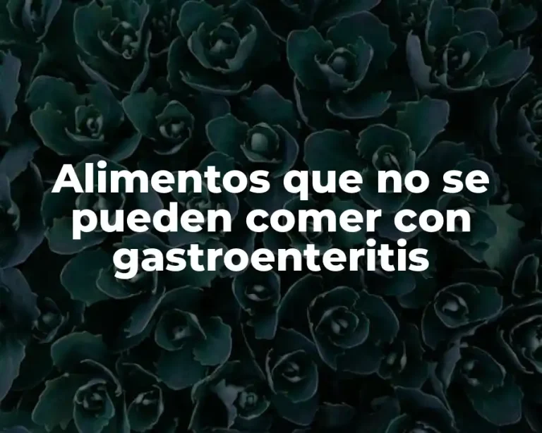 Alimentos que no se pueden comer con gastroenteritis