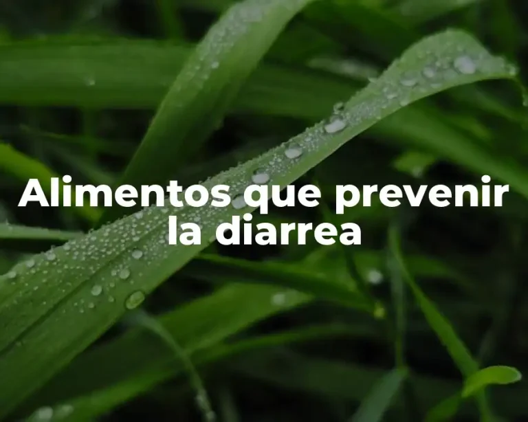 Alimentos que prevenir la diarrea
