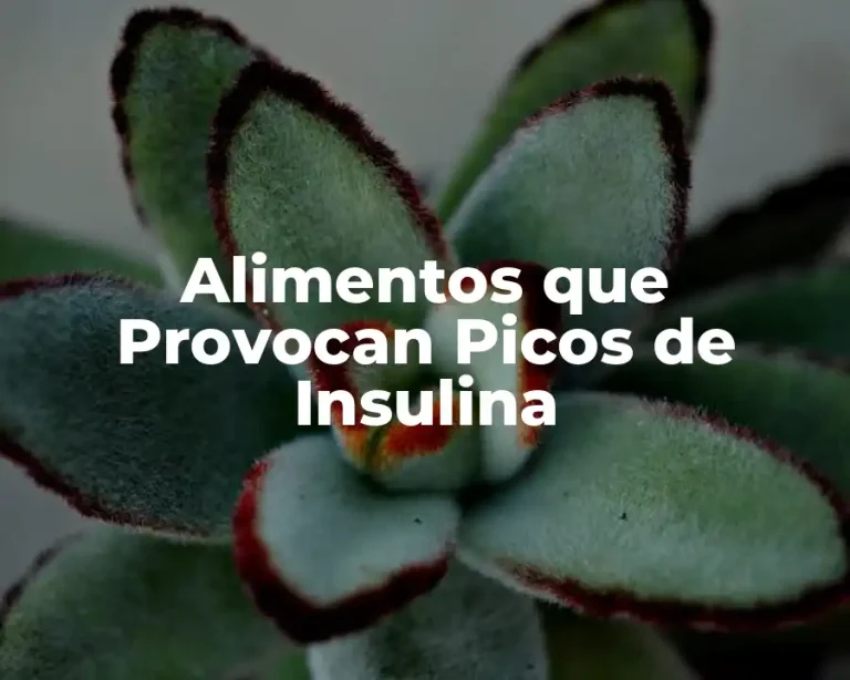 Alimentos que Provocan Picos de Insulina