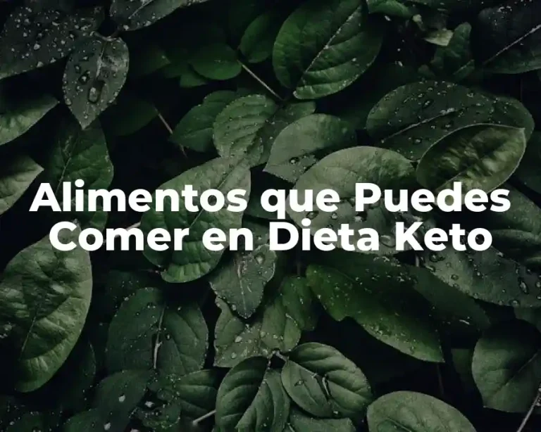Alimentos que Puedes Comer en Dieta Keto