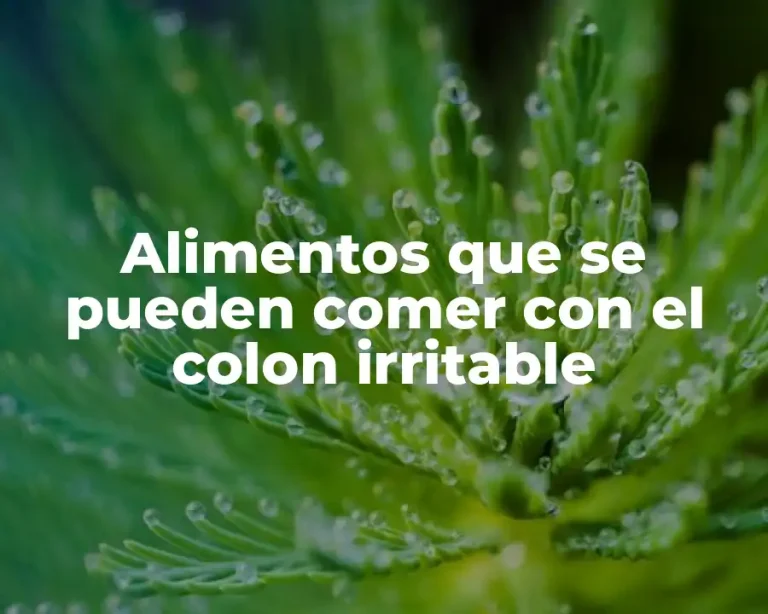 Alimentos que se pueden comer con el colon irritable