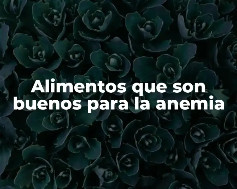 Alimentos que son buenos para la anemia