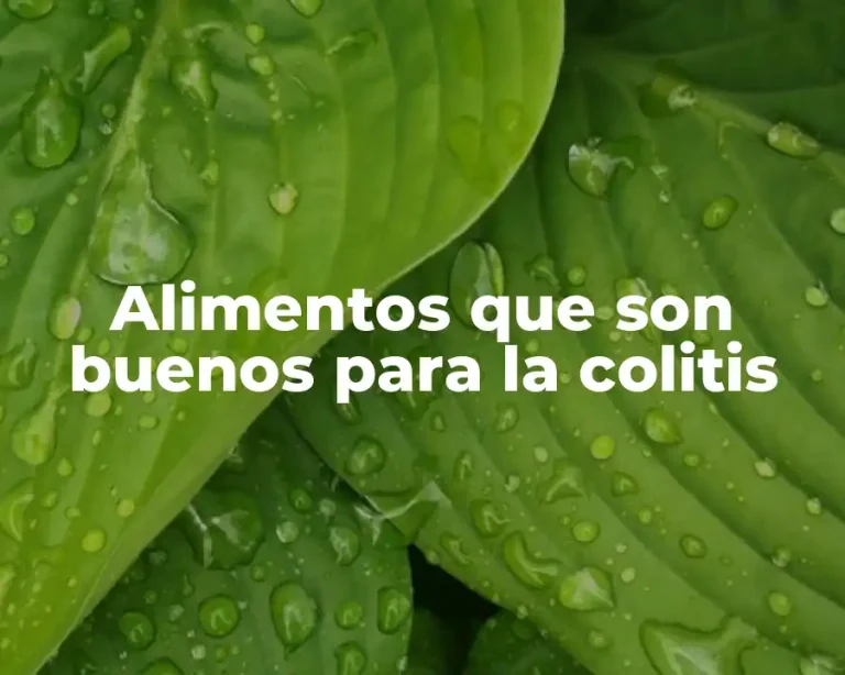 Alimentos que son buenos para la colitis