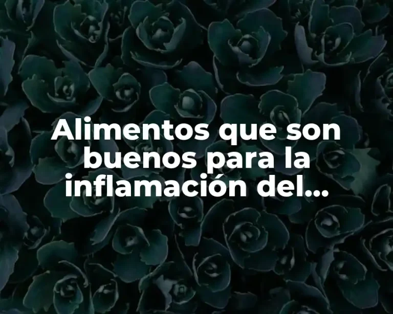 Alimentos que son buenos para la inflamación del estómago