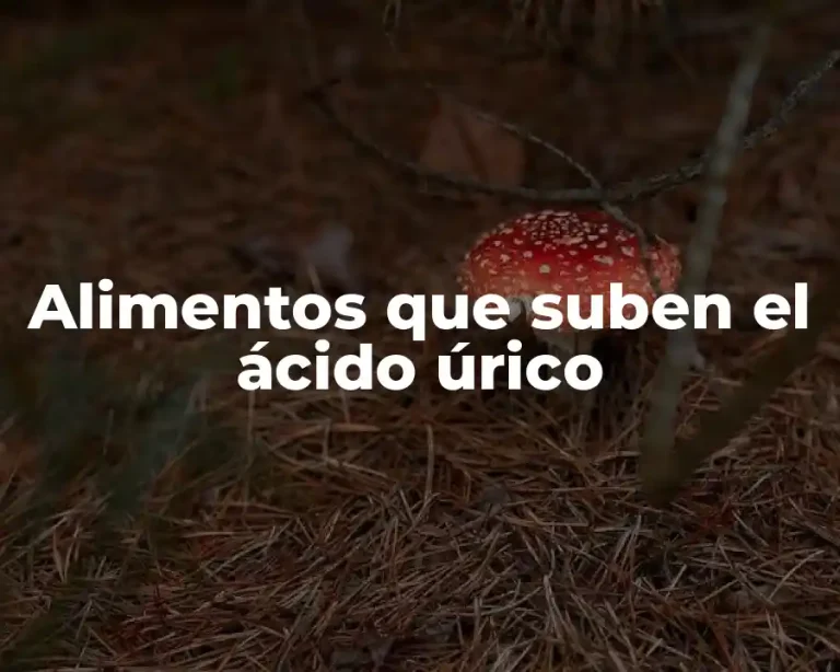 Alimentos que suben el ácido úrico