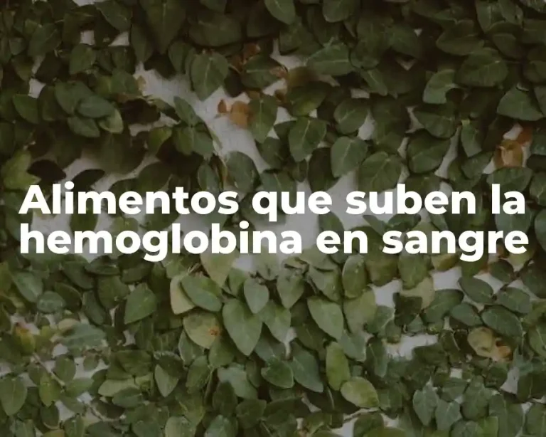 Alimentos que suben la hemoglobina en sangre
