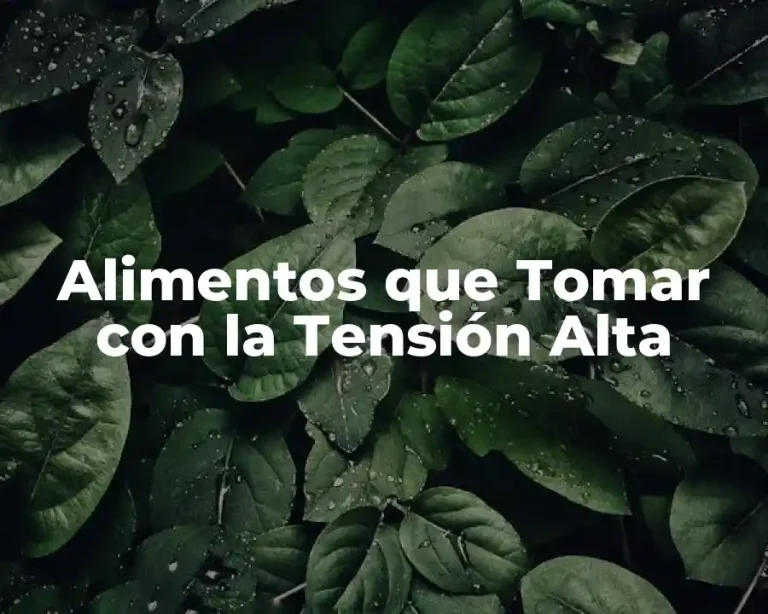 Alimentos que Tomar con la Tensión Alta